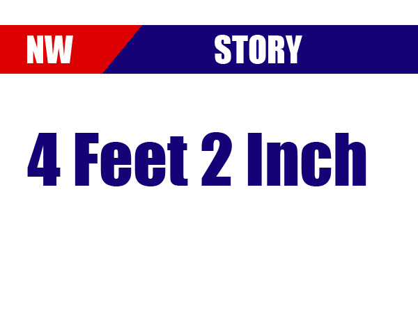 4 Feet 2 Inch, Millennium Nights, Navodaya World story,